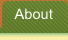 About Us Page